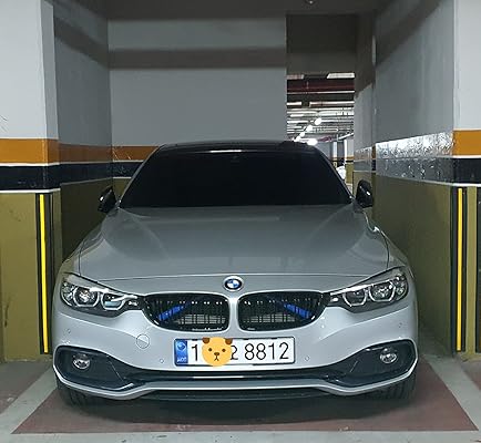 Buy Dwvv Grille Insert Trims For Bmw F F30 12 18 M Performance Grill Stripes For Bmw 3i 328i 330i 335i 428i F F30 Red Online In Hungary B091hcwswm