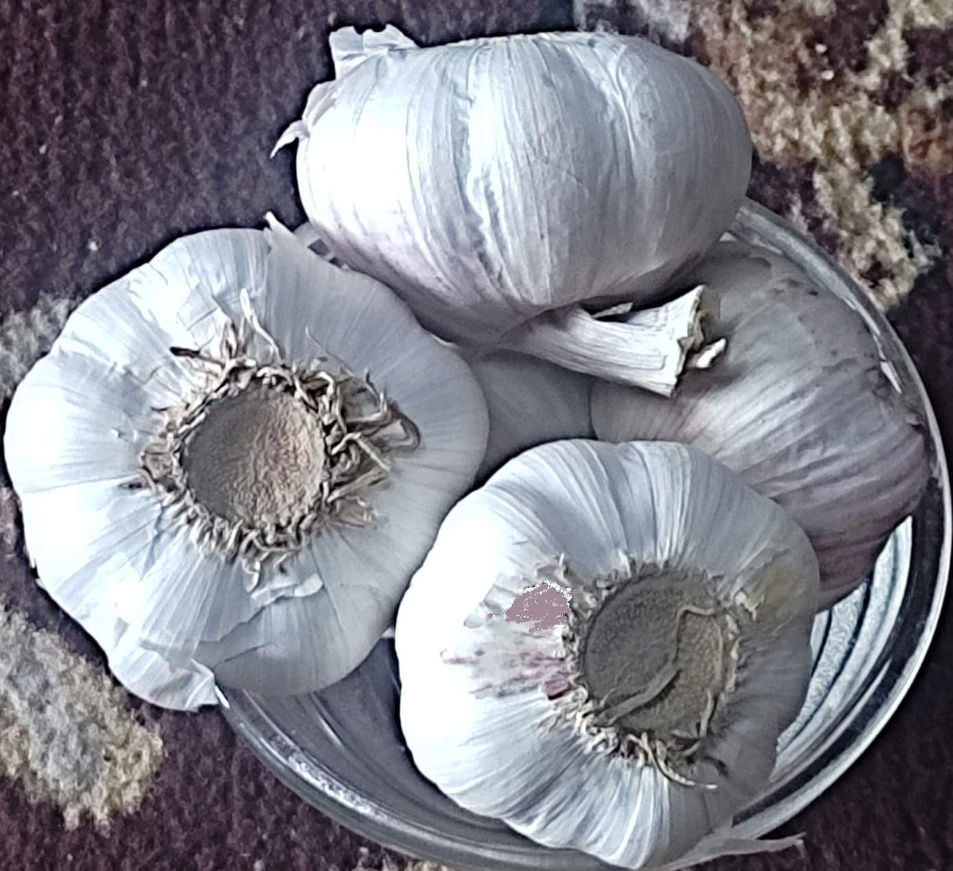 Nuvali's Garlic From Himachal HIlls (Big Size) / Himachal Lahsun/Pahadi Lahsun/Himachal Malai Poondu/Superior Qualilty/Dry and Natural/Hand Picked with Care/(450 grams) — Amazon image 6