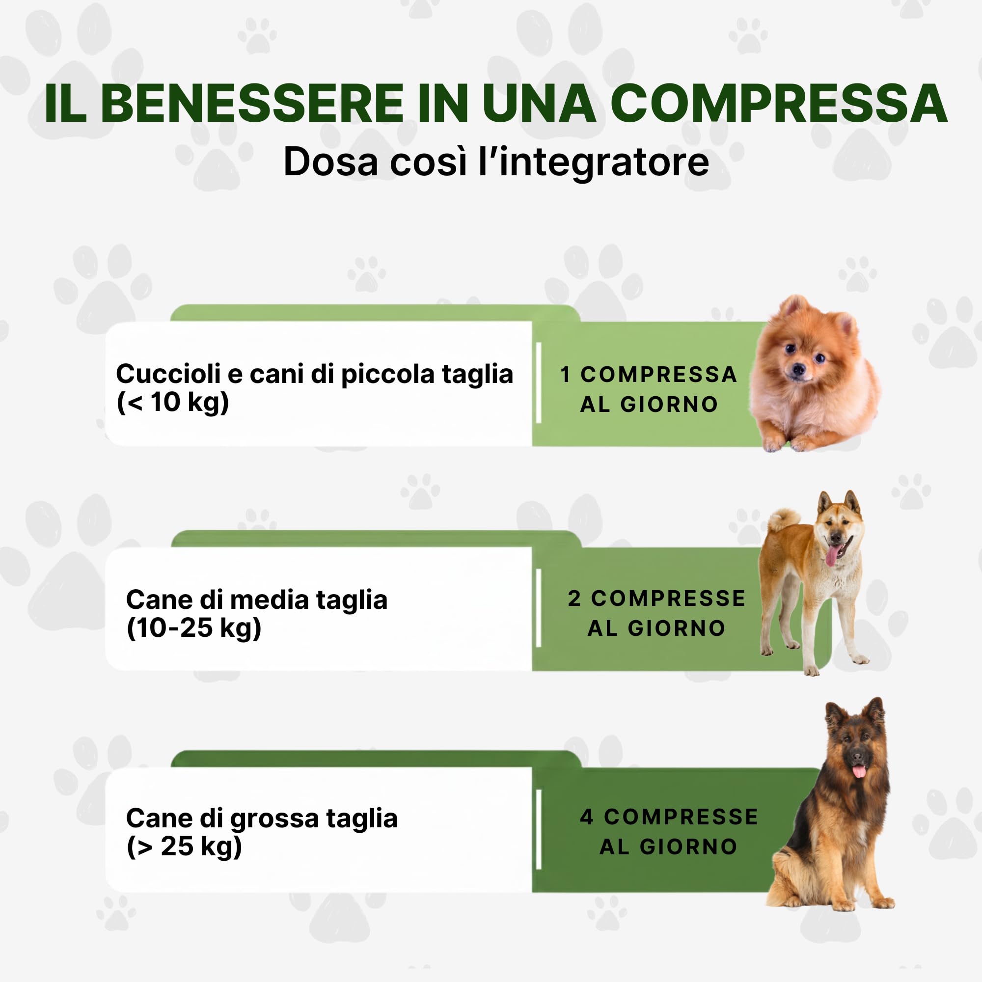 ProbioticPet Cane 30 Compresse per Prurito, Dermatite, Digestione | Probiotici per Cani FOS e MOS | Integratori per cani | Supporto per Diarrea Cane e Gatto | Made in Italy Longevity Pet
