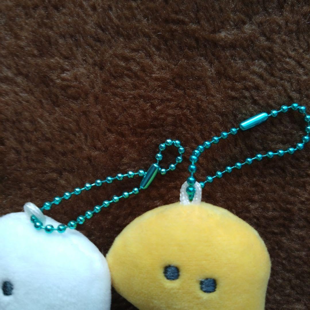 Amazon.co.jp: Chin Anagi Nishiki Eel Tsuburana Hitomi Aquarium