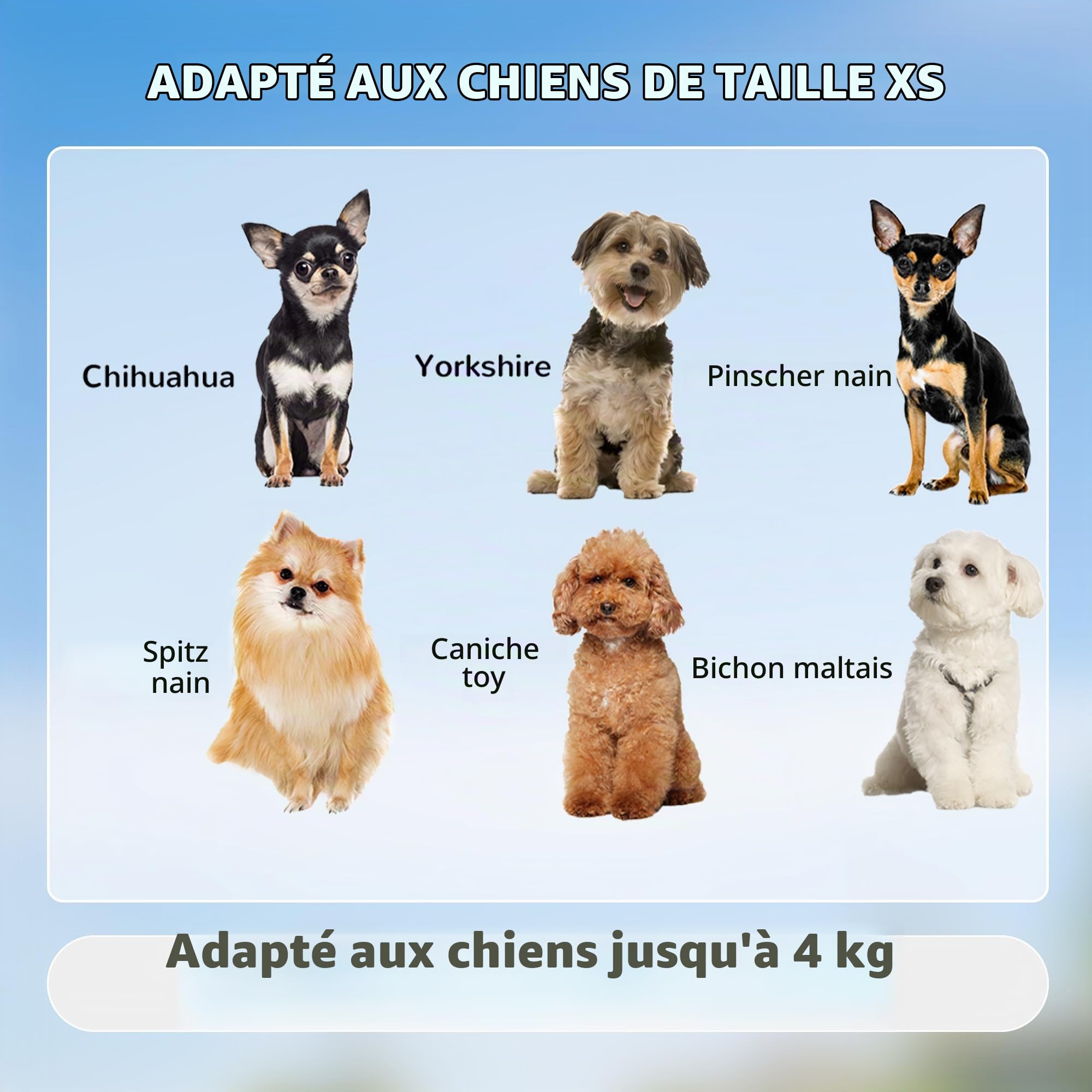 PawHut Sac à dos 2-en-1 pour animaux avec roulettes 42x25x55cm Vert