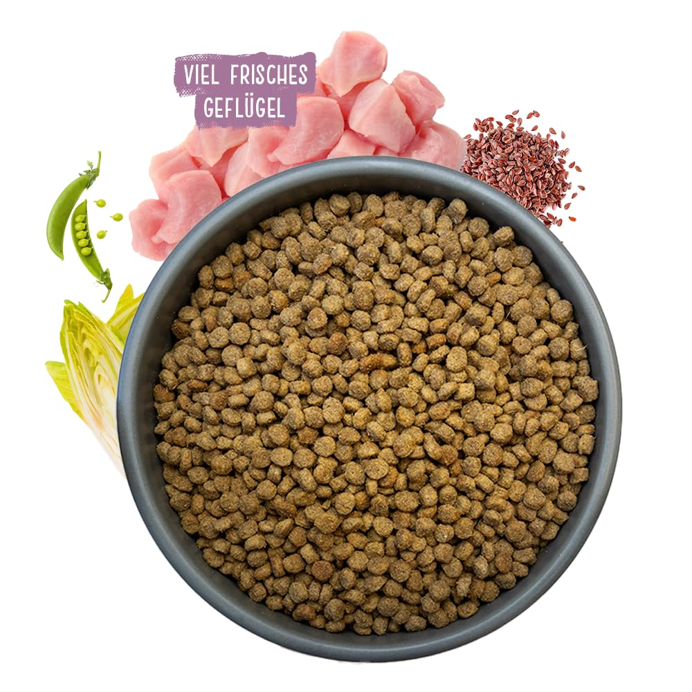 Chicopee Classic Nature Line | Senior Best Age | Katzenfutter trocken | Frisches Geflügel | Für ältere Katzen | Vitamine, Selen, Zink | Inspiriert von der Natur Kanadas | 15 kg