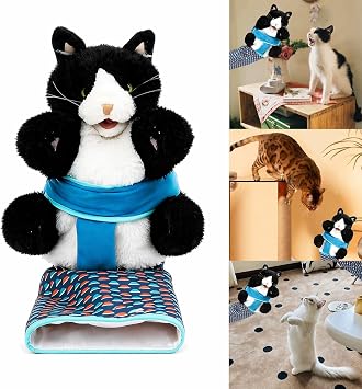 Cat Wrestling Glove Toy - Padded Interactive Play Glove for Cats, Durable Bite Resistant Hand Toy for Feline Fun, Gift for Cat Parents