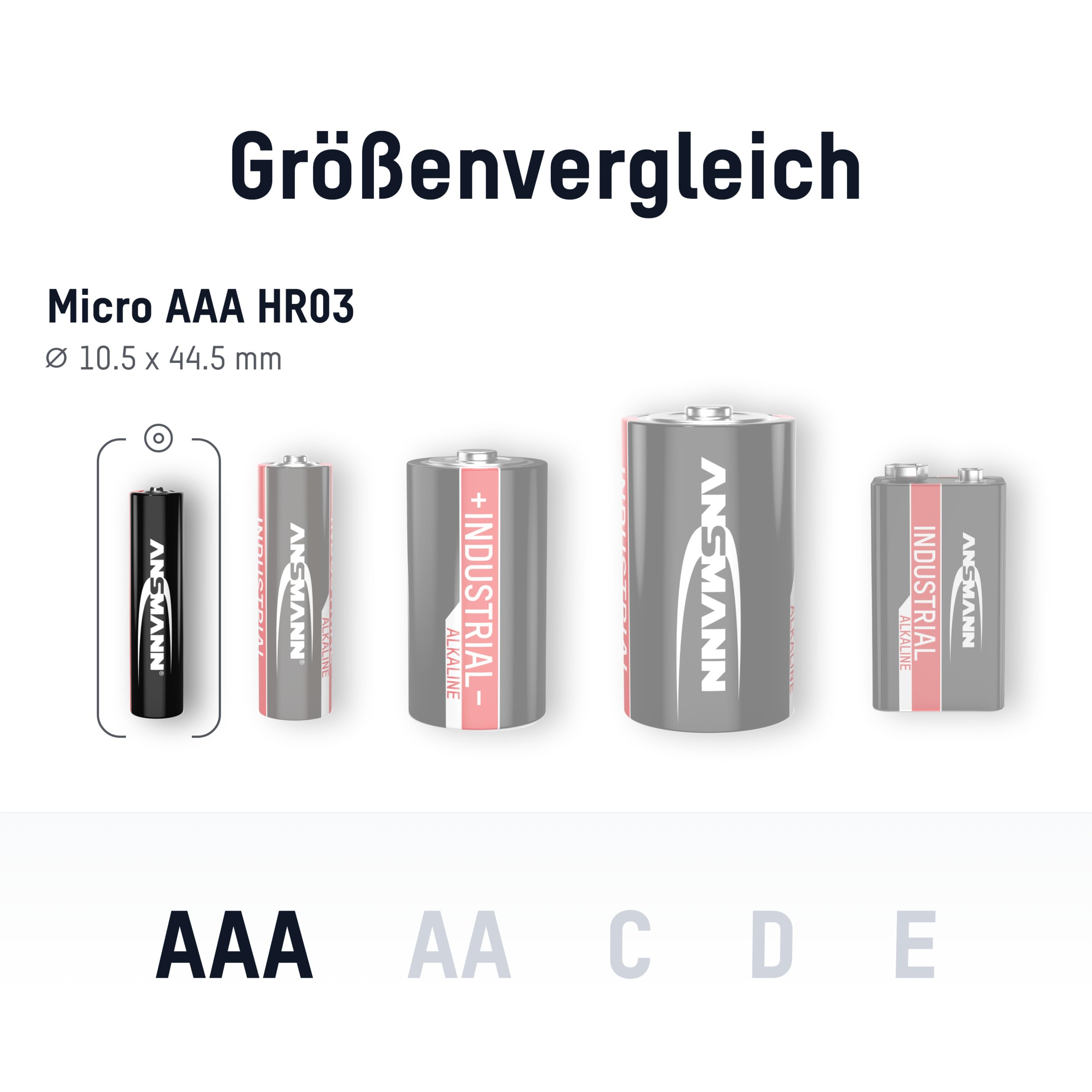Ansmann Industrial Alkaline batteria Longlife alcaline batteria per alto potenza industriali (Confezione da 10)