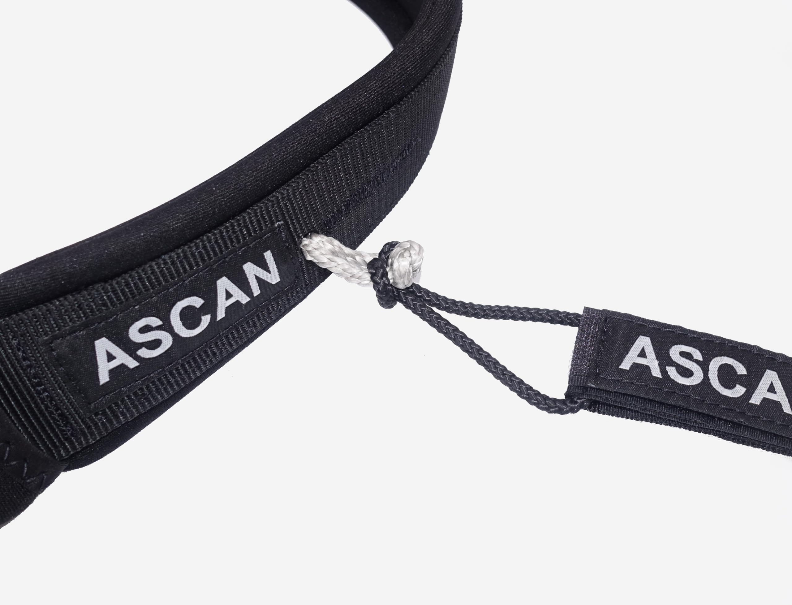 Ascan Wing & Board Belt mit Haken