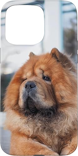 Funda Chow Chow Chow para iPhone 15 Pro Max