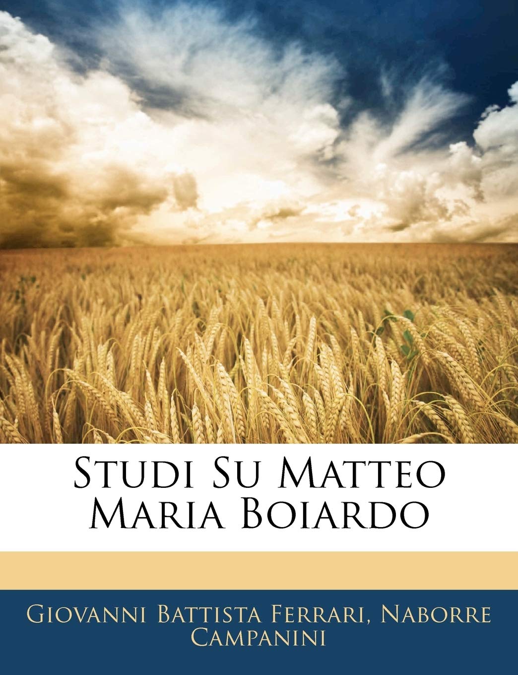 Studi Su Matteo Maria Boiardo