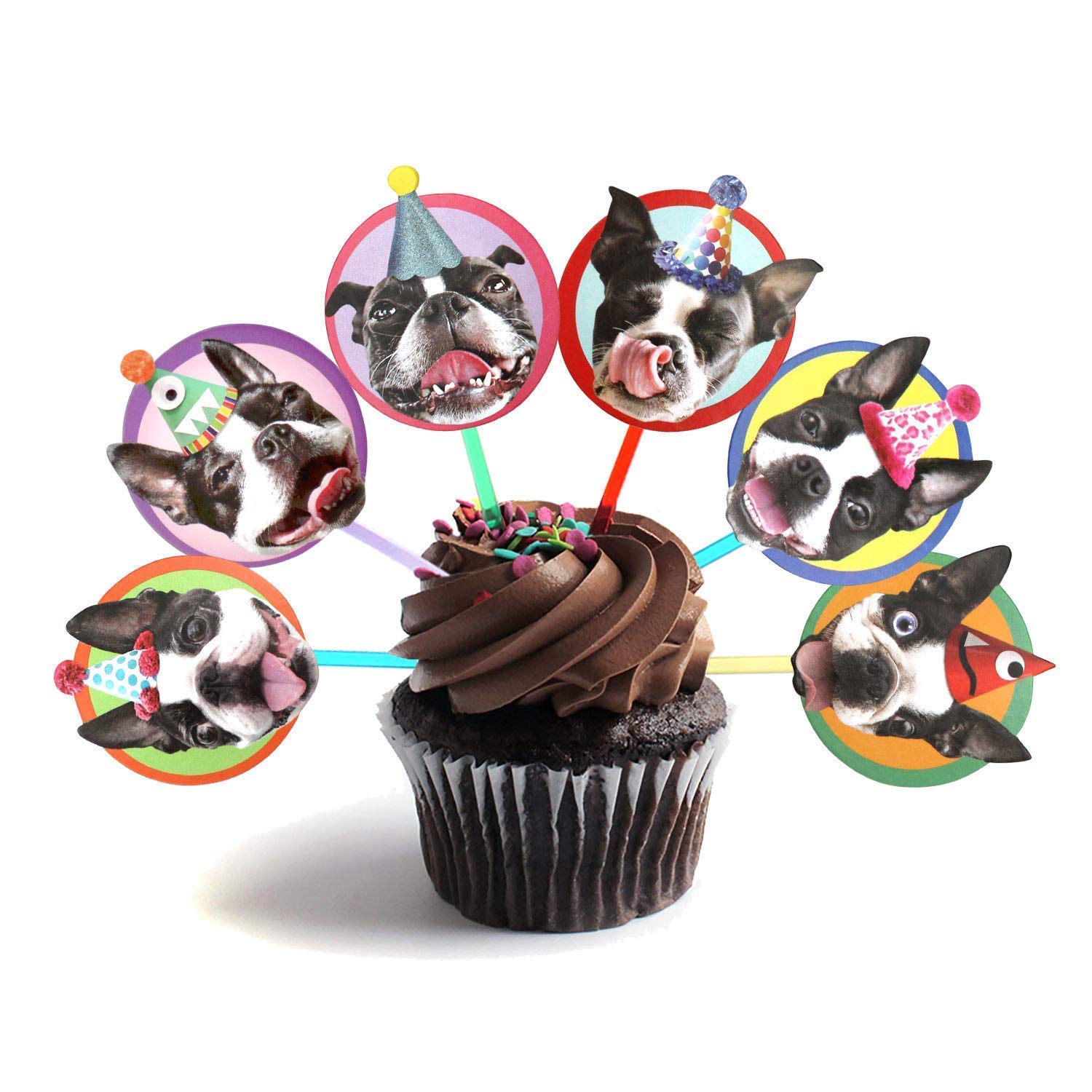 boston terrier cake topper