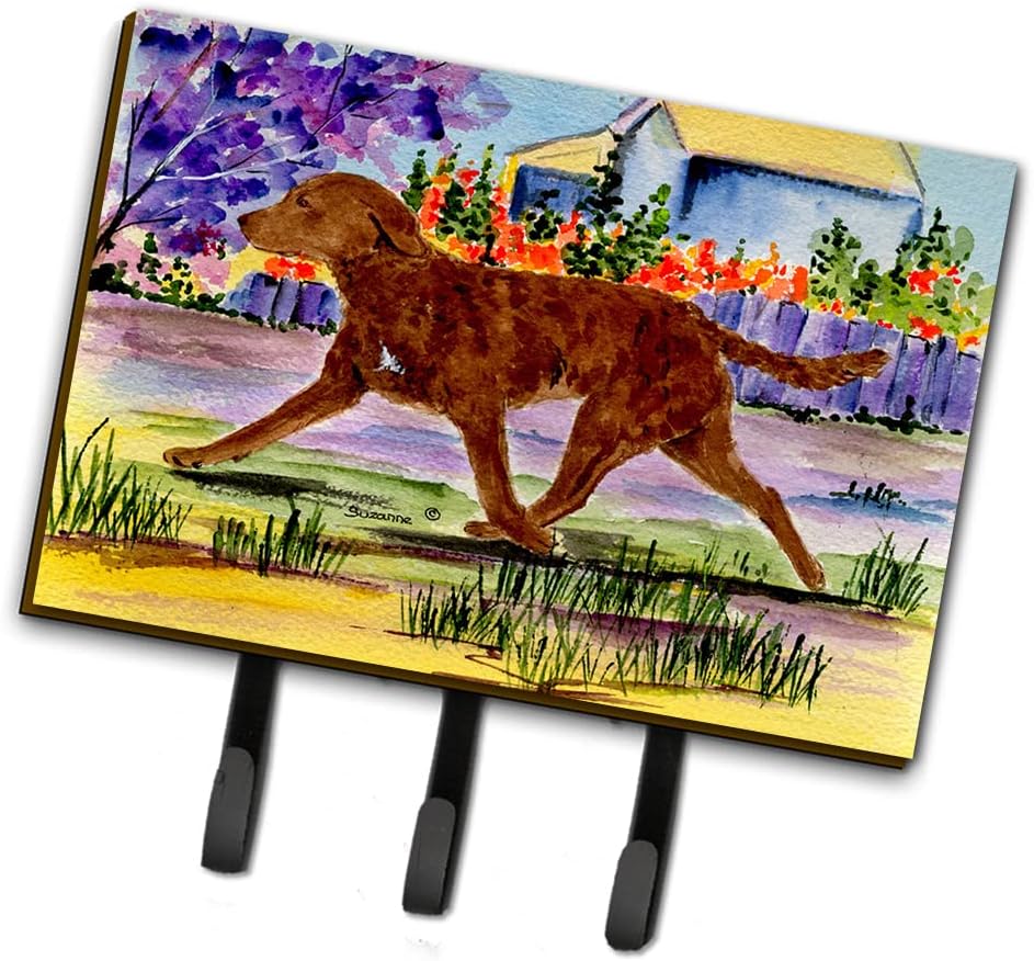 Amazon Caroline S Treasures Ss8435th68 Chesapeake Bay Retriever Leashホルダーまたはキーフック L マルチカラー フック オンライン通販