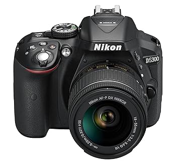 Nikon D5300 AF-P 18-55 AF-P 70-300 天龍 Amazon Canada: Nikon D5300 Dual Lens Bundle (D5300 Body, AF