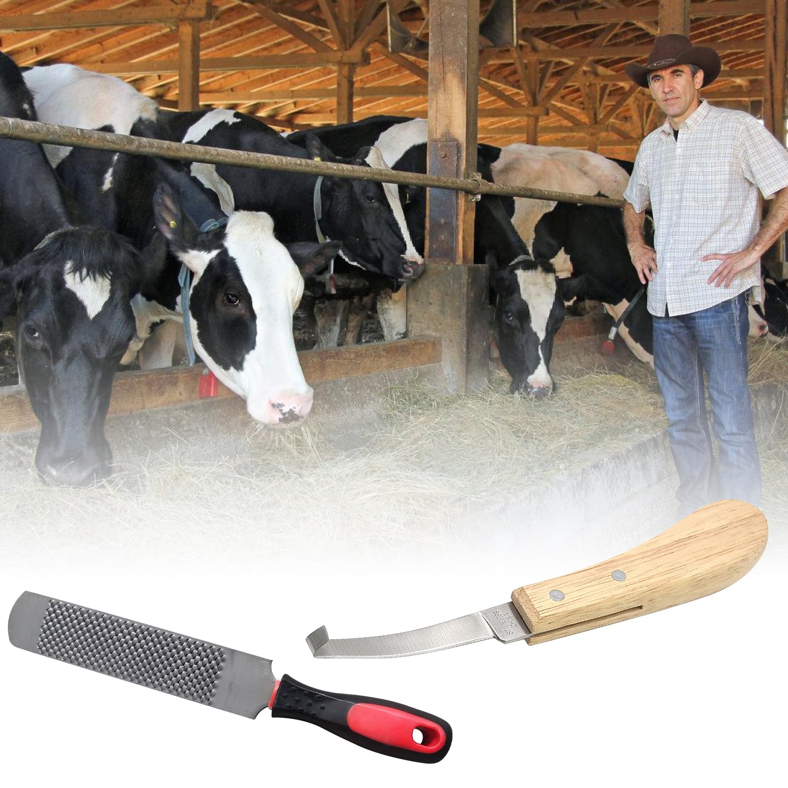 Bordeag Râpe À Sabot De Cheval 8 Pouces Lime En Fer À Cheval, Lime De Fer À Cheval Lime À Sabot De Cheval Lime À Fer À Cheval Double Face Cheval Sabot Râpe En Acier Au Carbone Pour Chevaux