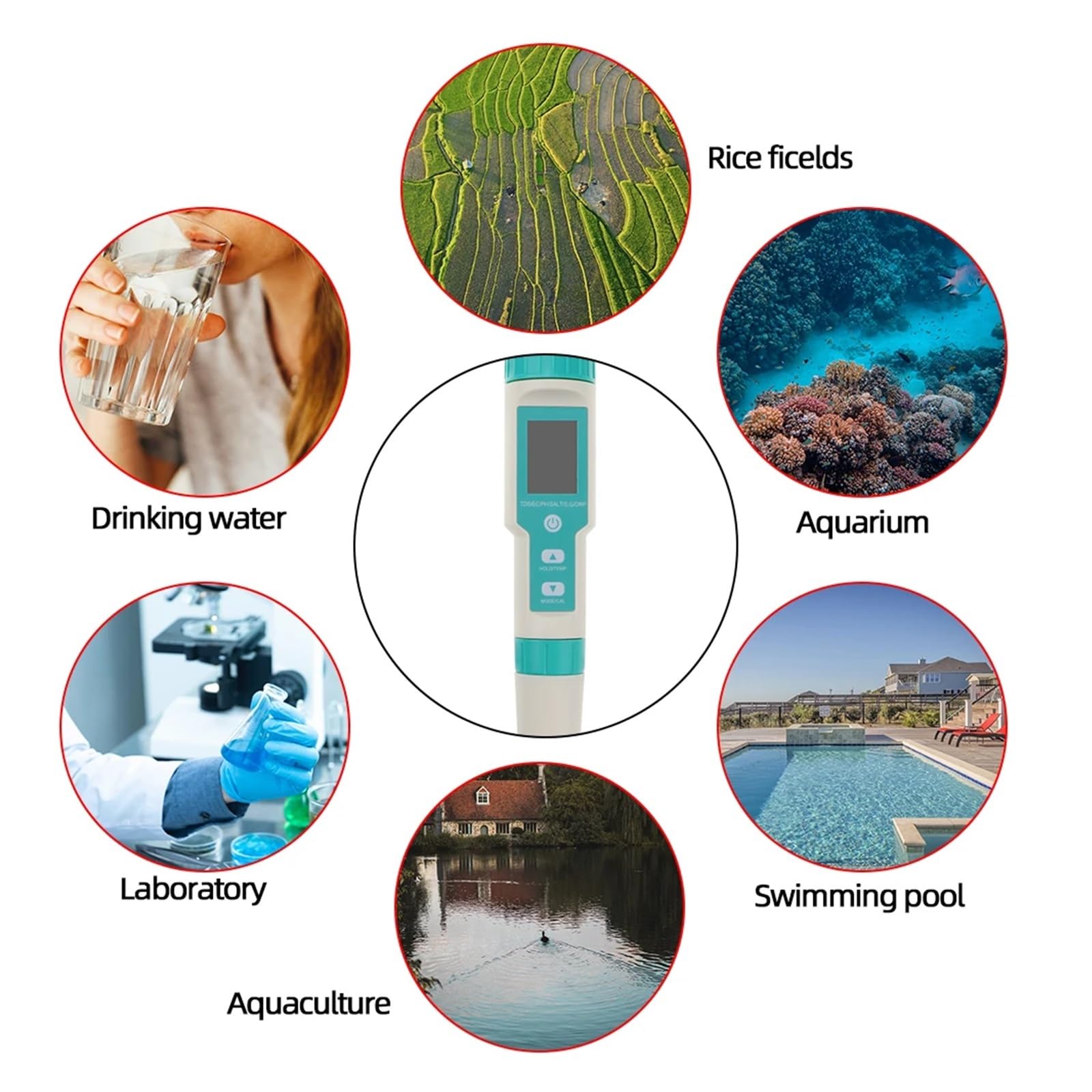 Testeur d'eau Ph-mètre Numérique 7 en 1, Testeur De Qualité l'eau, for Aquariums d'eau Potable, PH/TDS/EC/ORP/salinité/SG/Temp Polyvalent Précis Facile(Bluetooth ph Meter)