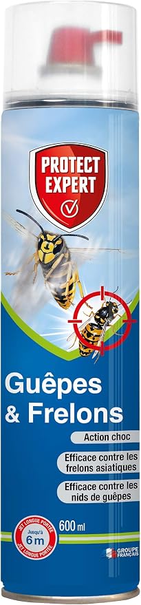 Aérosol Anti-Guêpes Et Frelons Longue Portée 600ml - Jet Jusqu'à 3m, Destruction Nids