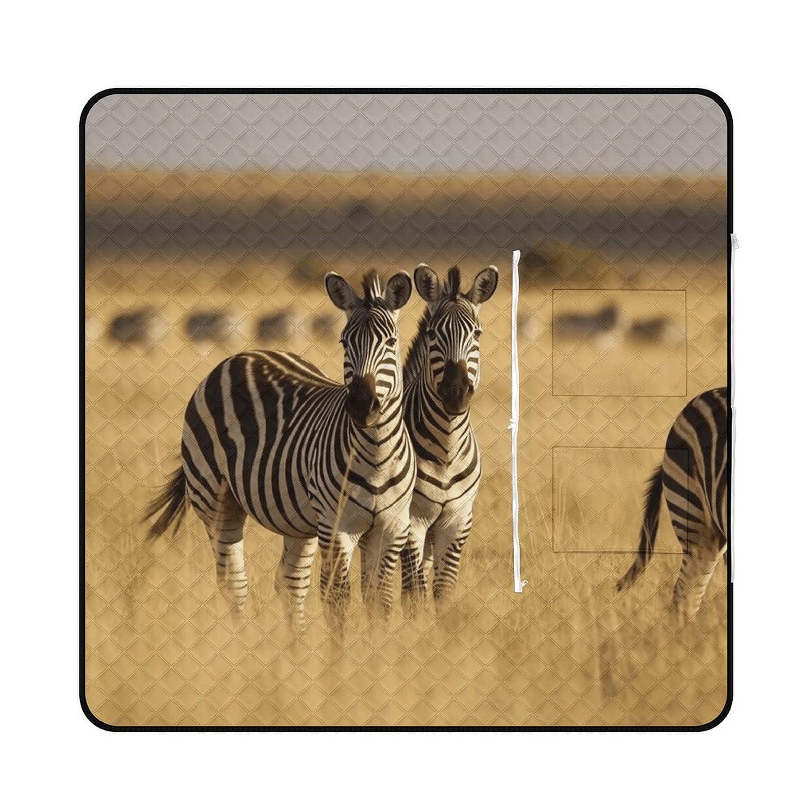 Tapis de pique-nique pliable pour vos sorties en famille dans le parc