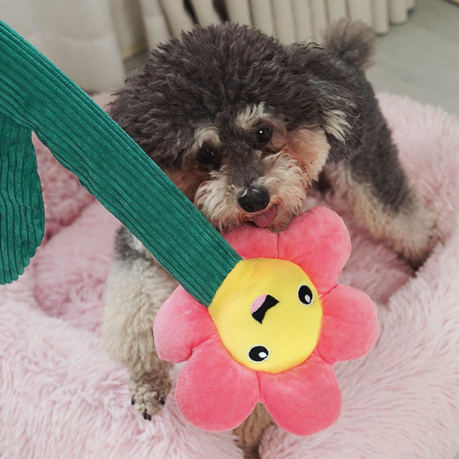 Stuffed Dog Toy, Squeaky Flower Shape Plush Dog Toy Puppies Teething Toy, Bite Resistant Interactive Cute Squeak Toy Soft Dog Chewing Toy for Dogs