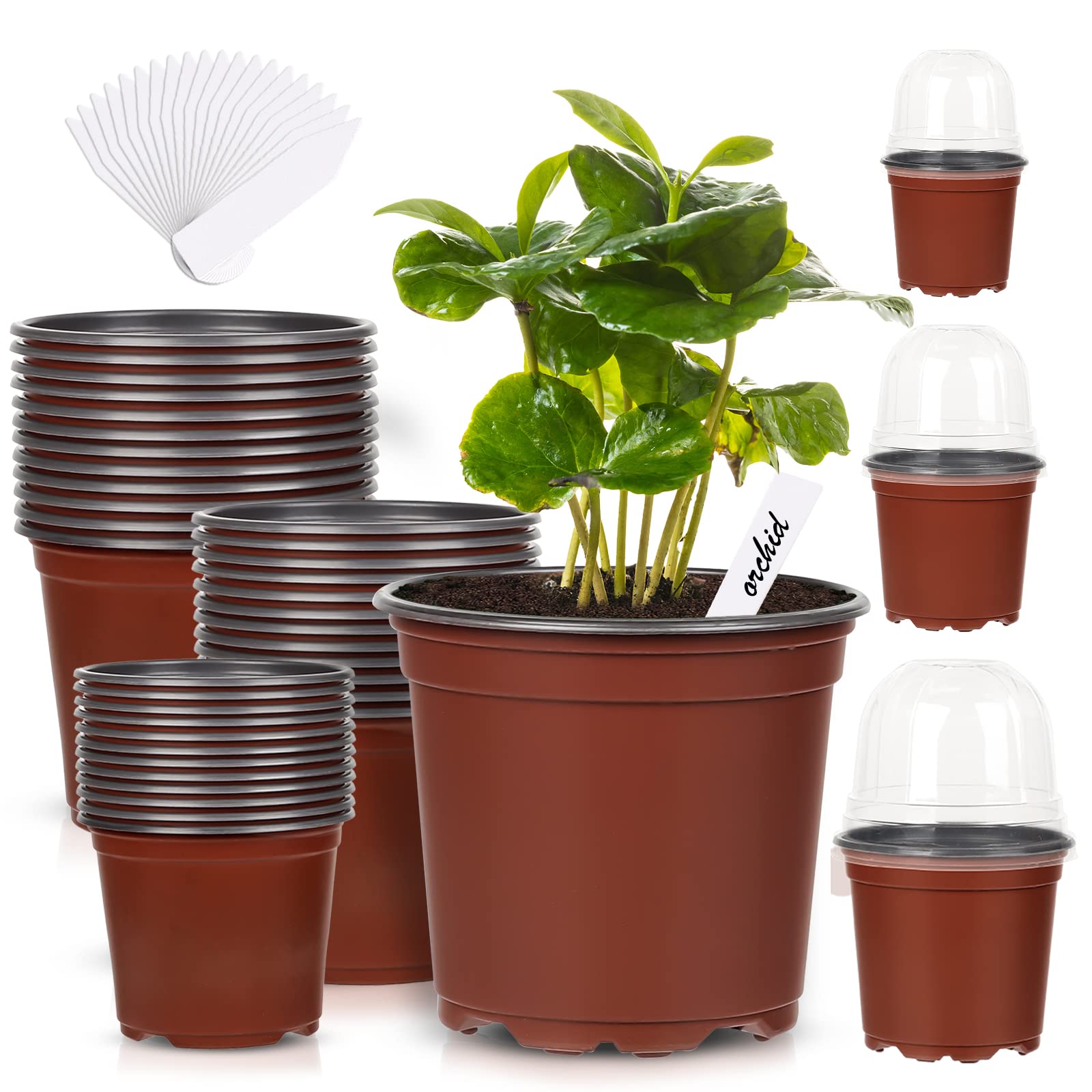Buy 36Packs 5/4/3.5 Inch Nursery Pots with Clear Humidity Domes, Seed