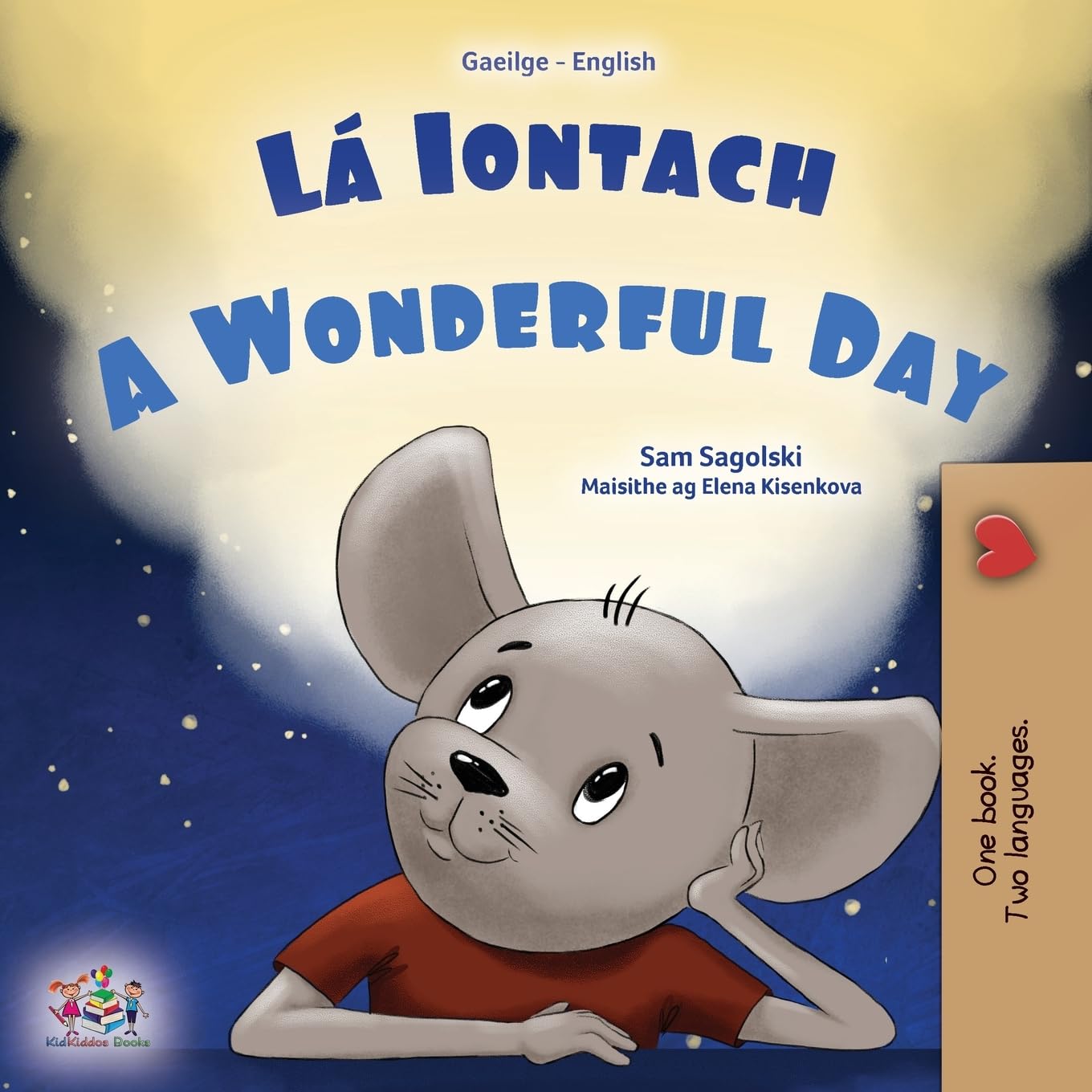 A Wonderful Day (Irish English Bilingual Book for Kids) (Irish English Bilingual Collection)