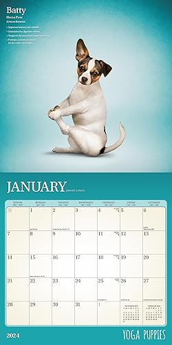 Miniatura 3 de Calendario de cachorros de yoga 2024  Paquete de calendario de pared de cachorros de yoga 2024 de lujo con más de 100 calcomanías de calendario