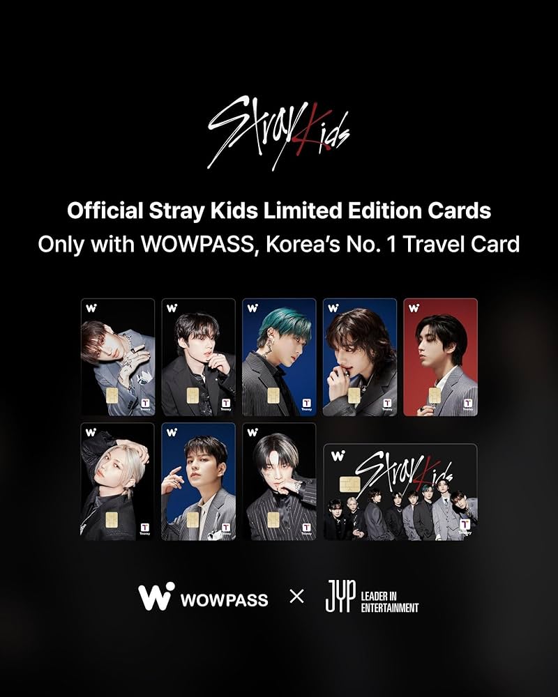 Stray Kids wowpass メンバー全員 Stray Kids(スキズ)×WOWPASSコラボカード販売開始 | WOWPASS辞典