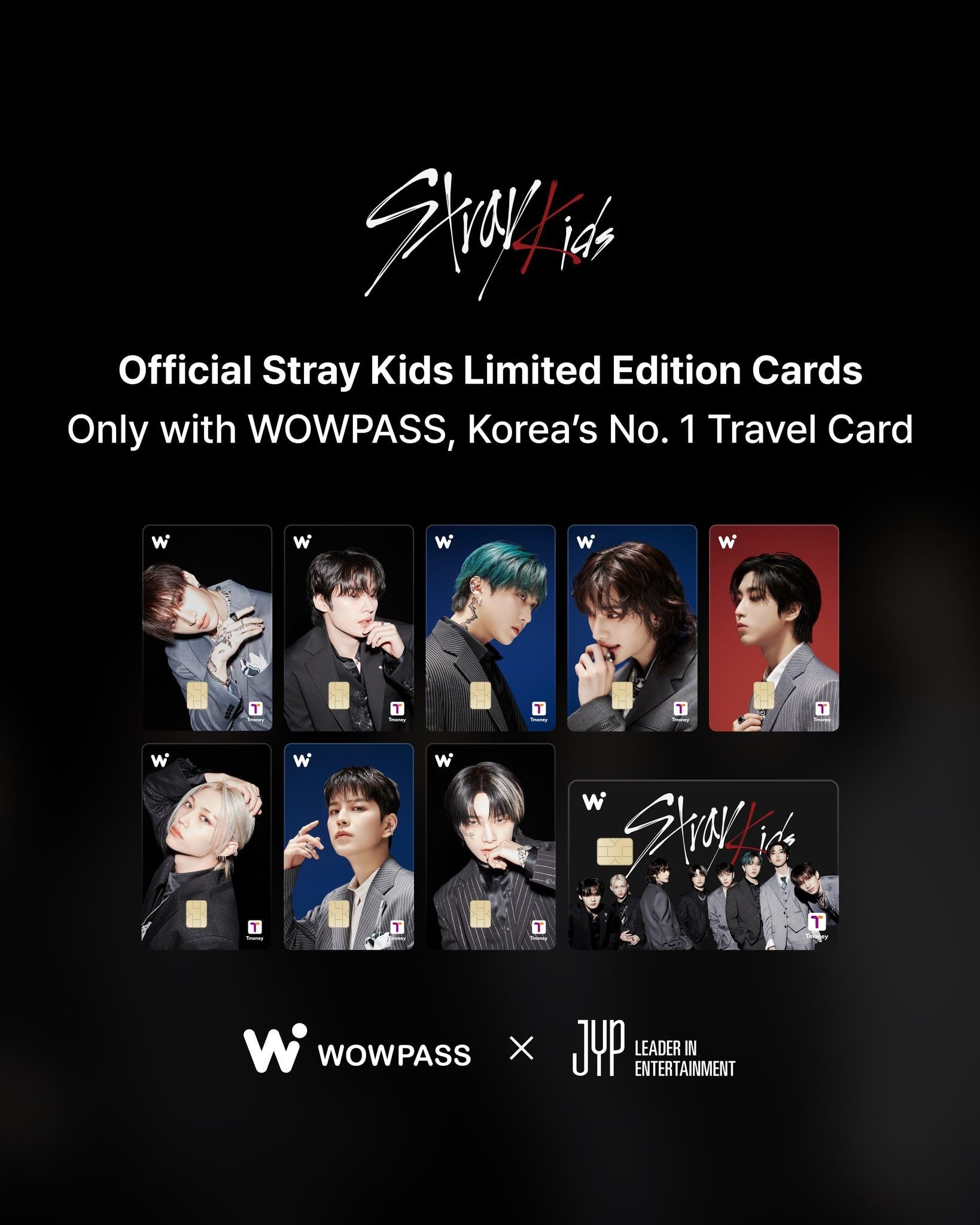 タレントカード Stray Kids WOWPASS WOWPASS Stray Kids Official SKZ Card – Limited Edition I.N VER