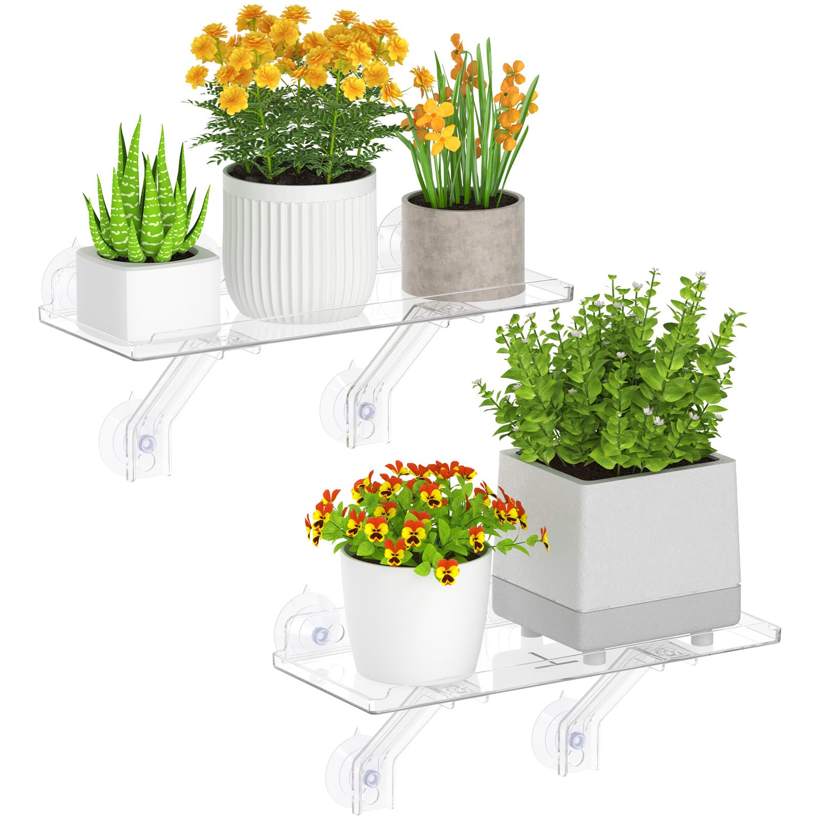 Lifewit Set di 2 Scaffale per piante da davanzale Sistema di scaffali in acrilico resistente con ventose Scaffale da interno per piante grasse e miniaturizzate da davanzale