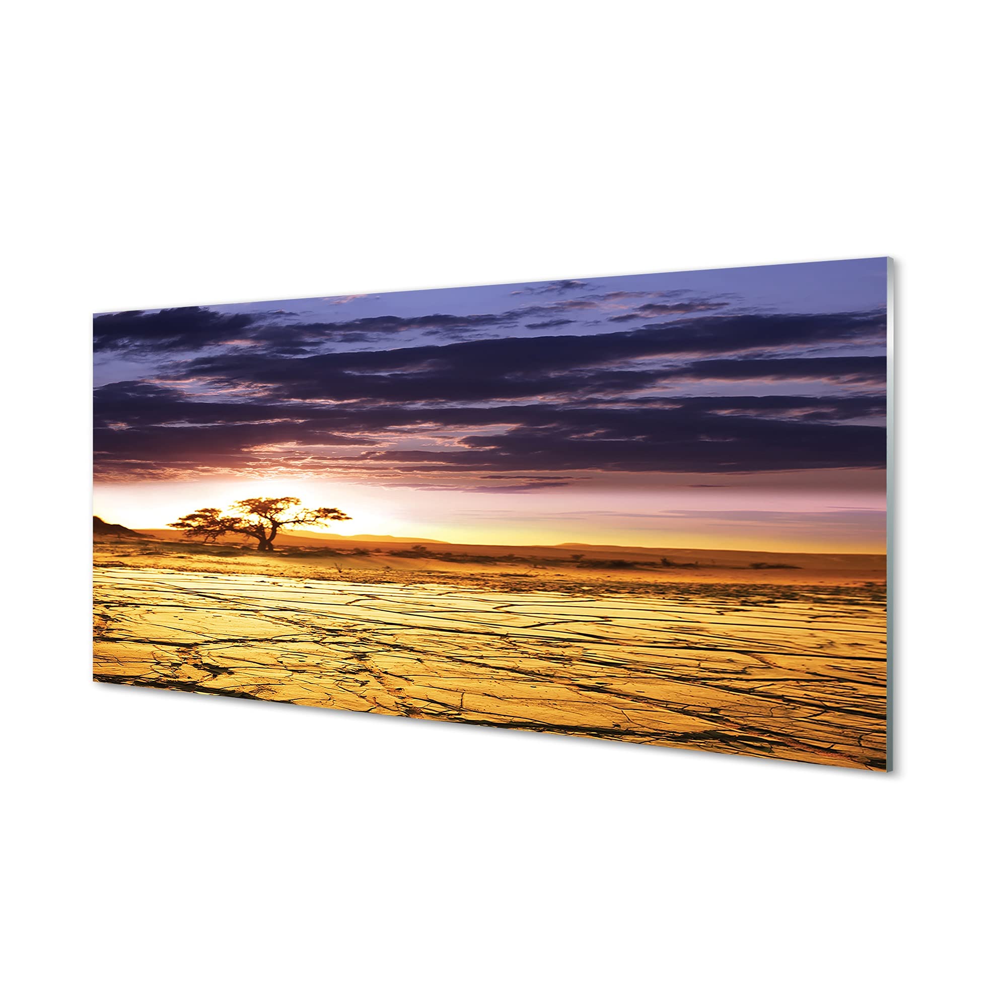 Tableau decoration murale Afrique en verre acrylique Tulup 120x60cm pour salon