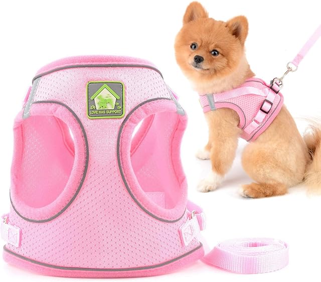 SMALLLEE_LUCKY_STORE Soft Mesh Step-in Small Dog/Cat Harness and Lead Set for Walking Reflective Puppy Vest Harness Outdoor Training,Pink,Size XS