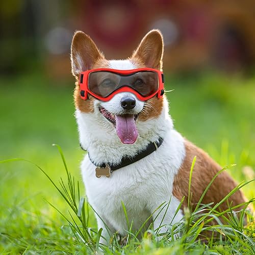 Miniatura 6 de QUMY Gafas de sol para perros con protección UV para perros de razas pequeñas a medianas, gafas de sol para perros, resistentes al viento, antivaho,