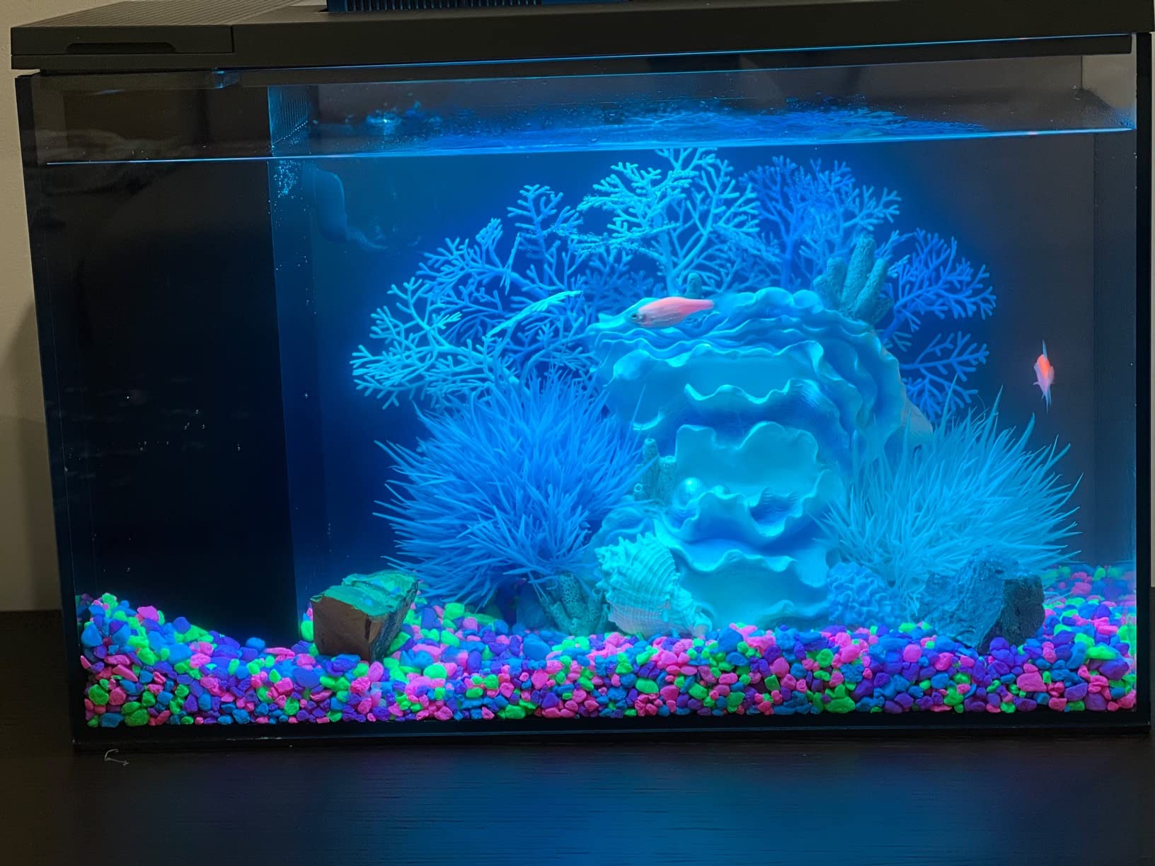 23/mo Finance ERAARK Aquarium kit 5 Gallon Betta Fish Tank self