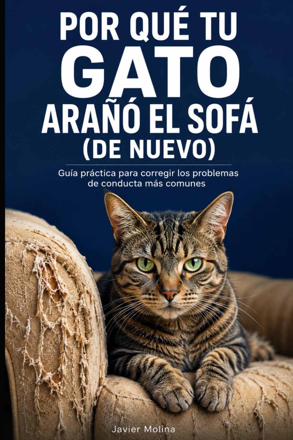 Por qué tu gato arañó el sofá (de nuevo): Guía de comportamiento felino para dueños frustrados que ya probaron todo