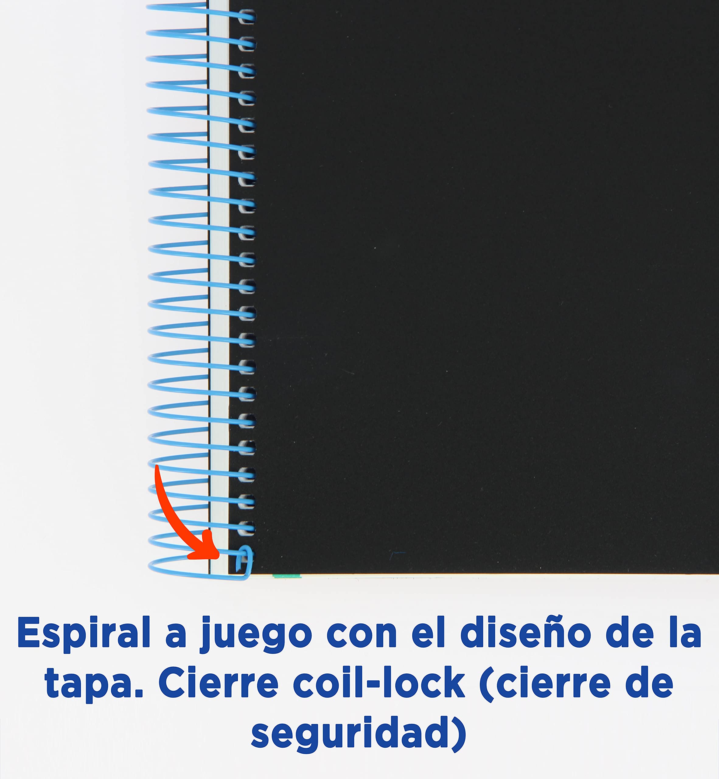 Confezione da 5 fogli Europeanbook-8 a spirale, copertina in plastica A4+, quadretti 5 x 5, blu