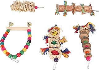 Brinquedo de Mastigação de Balanço de Pássaro Poleiro de Madeira Brinquedo de Mastigação Brinquedos de Mastigação de Madeira 5 Pçs Brinquedos de Balanço de Pássaro Saudável