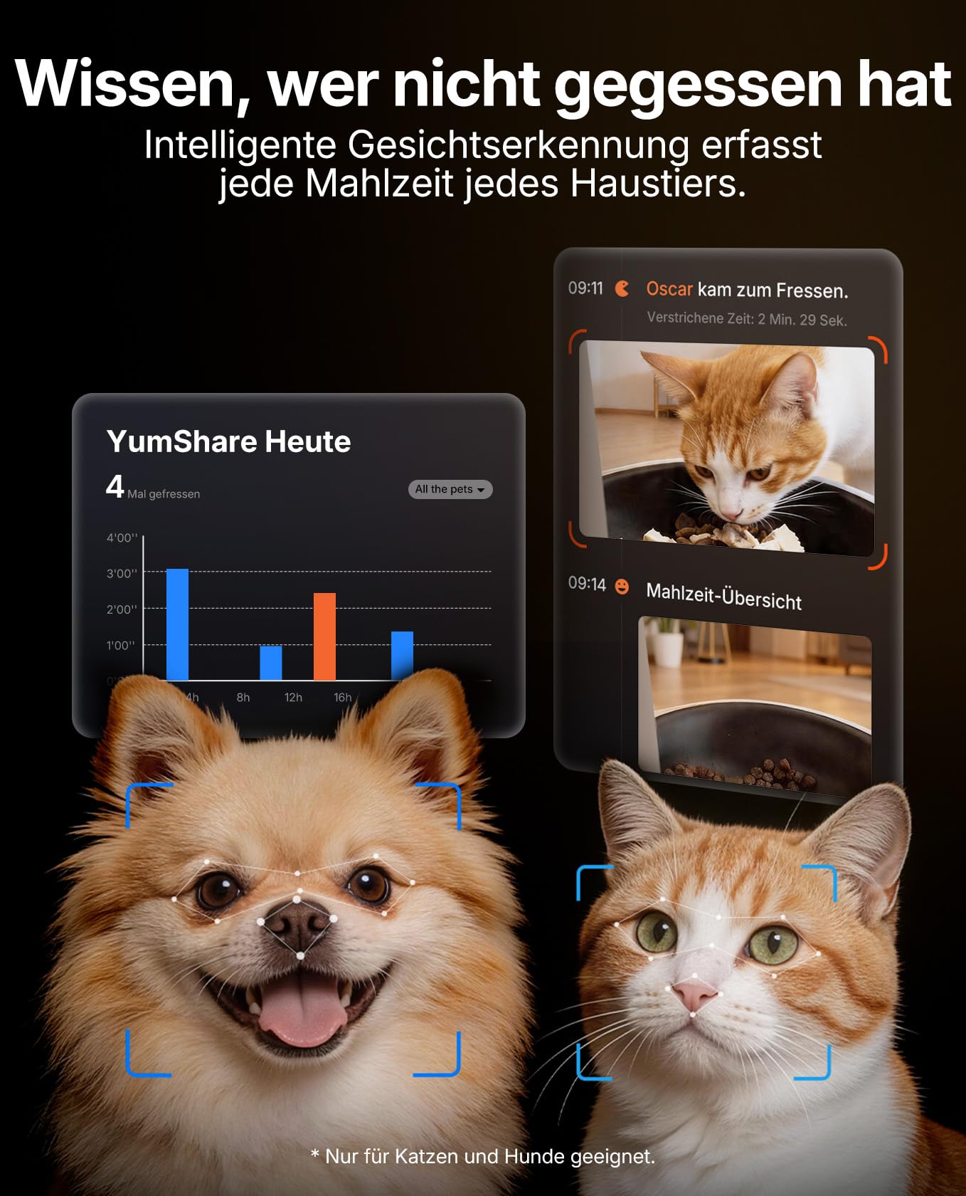 PETKIT YumShare Solo 2 Futterautomat Mit Kamera, Gesichtserkennung für Mehrere Katzen,KI Futterautomat Katze,3L Katzen Futterautomaten,Automatischer Futterspender für Katze und Hund,2.4 & 5G Wi-Fi