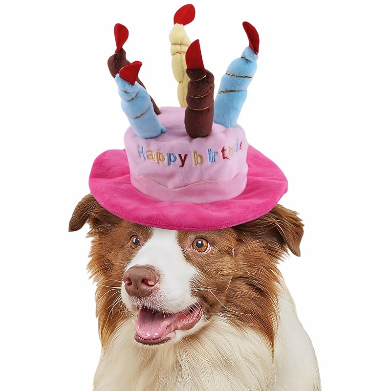 Chapéu de festa para cães e gatos com tecido felpudo e 5 velas decorativas FANBODTA Azul e Rosa