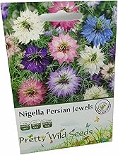 Nigella Persian Jewels Love in A Mist Seeds in Pictorial Packets from a UK Seller