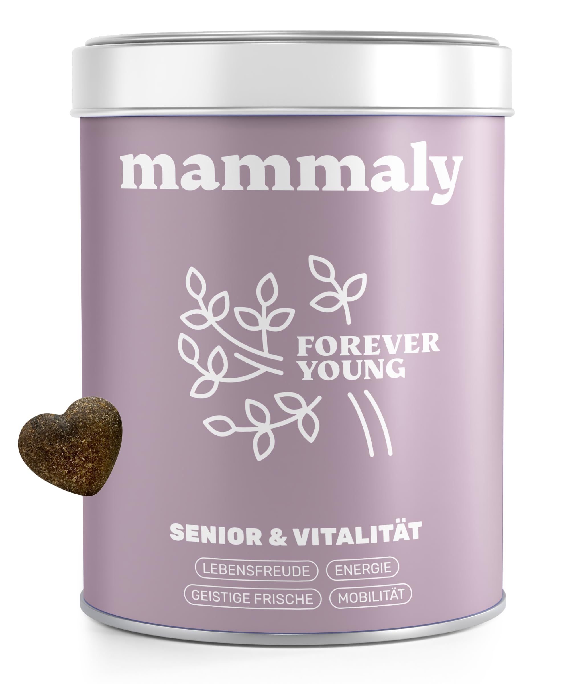 6-in-1 Vital-Komplex für Senior Hunde - Forever Young 60 Snacks (175g) von mammaly - Mit Ginko, Kurkuma, Bierhefe, Kollagen, L-Carnitin & Mikroalgen für den Alten Hund