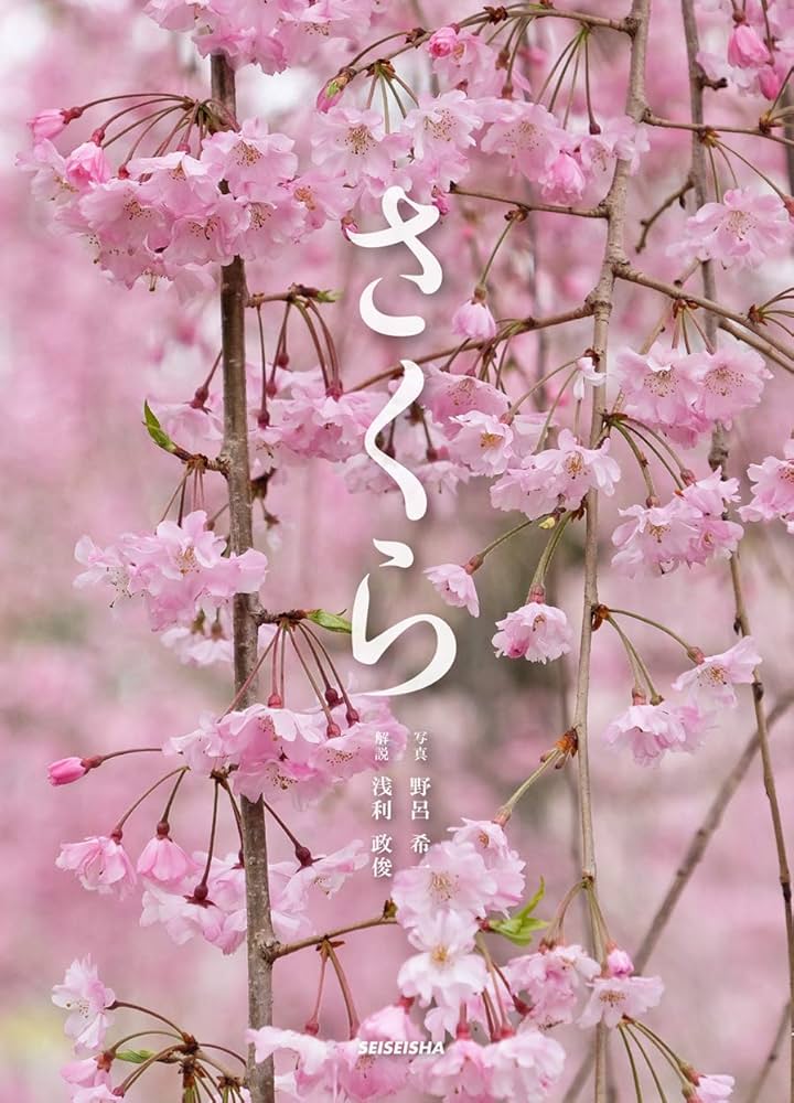 日本桜集 Amazon.co.jp: さくら : 野呂 希一, 浅利 政俊: Japanese Books