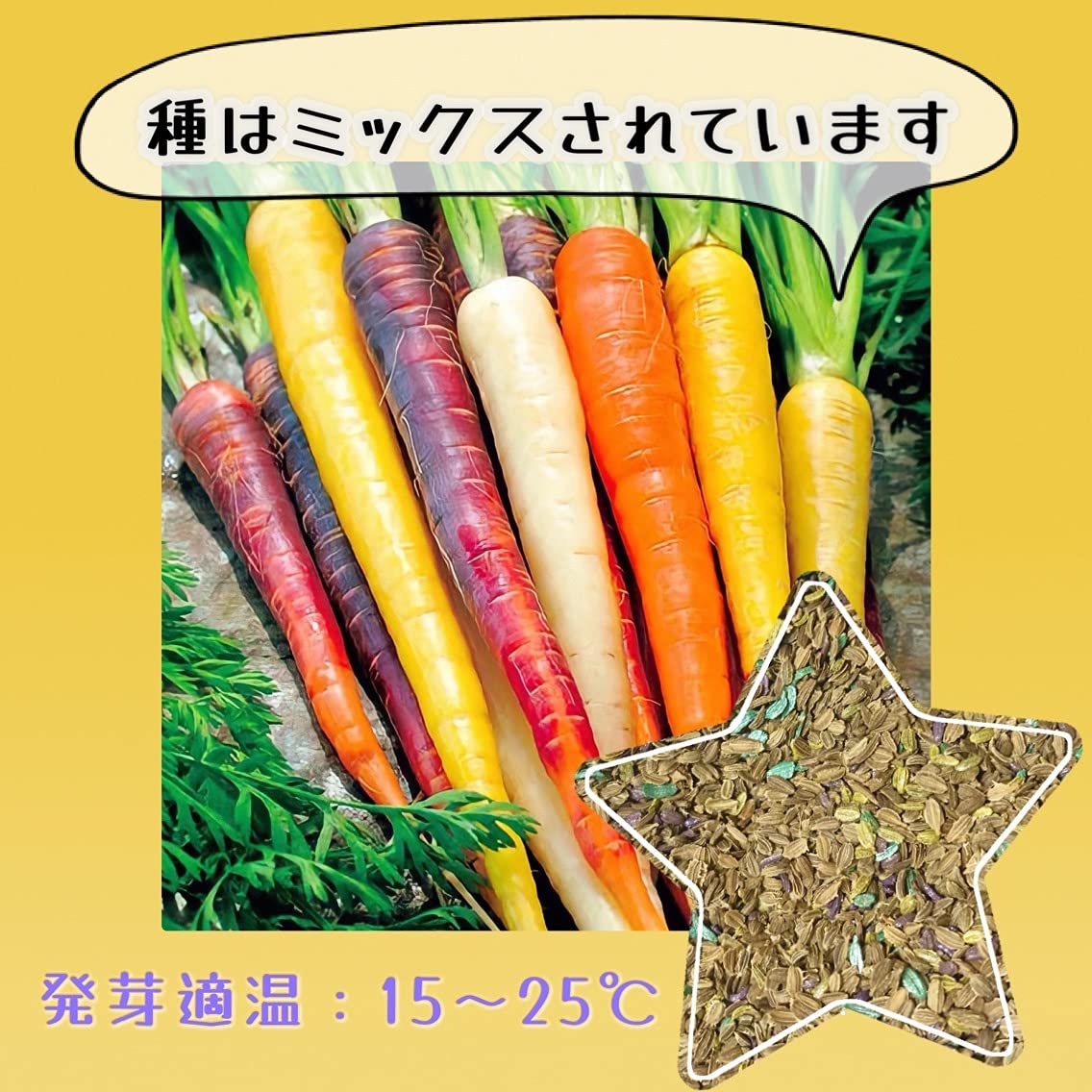 にんじんクレヨン Amazon.co.jp: ウクレレ園芸SHOP カラフル人参Mix 種子1ml330円