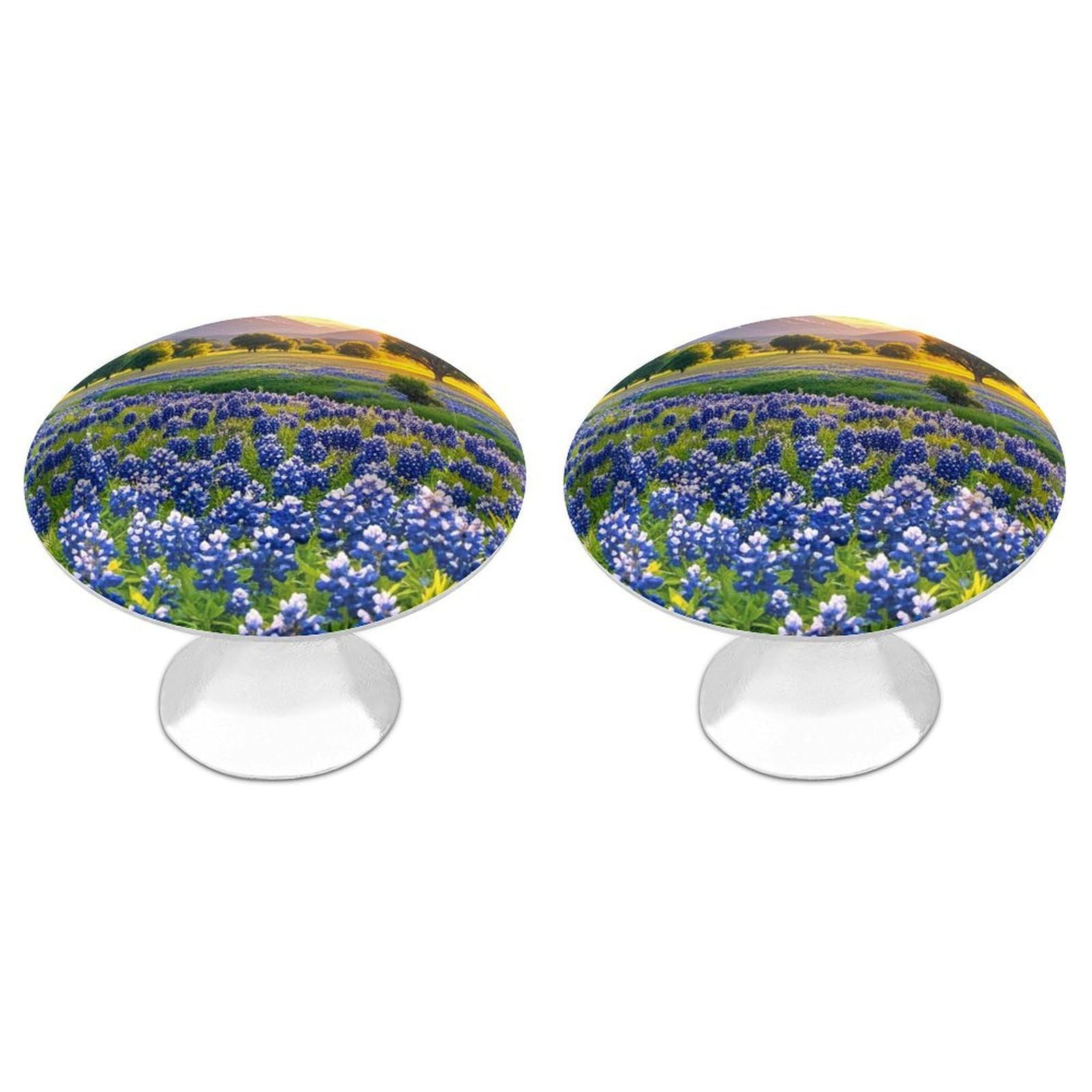 FekiLoot Round Cabinet Knob 2 Pack Kitchen Drawer Knobs Stainless Steel Round Drawer Pulls Modern Cabinet Hardware Texas Bluebonnets Scenery Drawer Hardware for Dresser Closet Door Knobs
