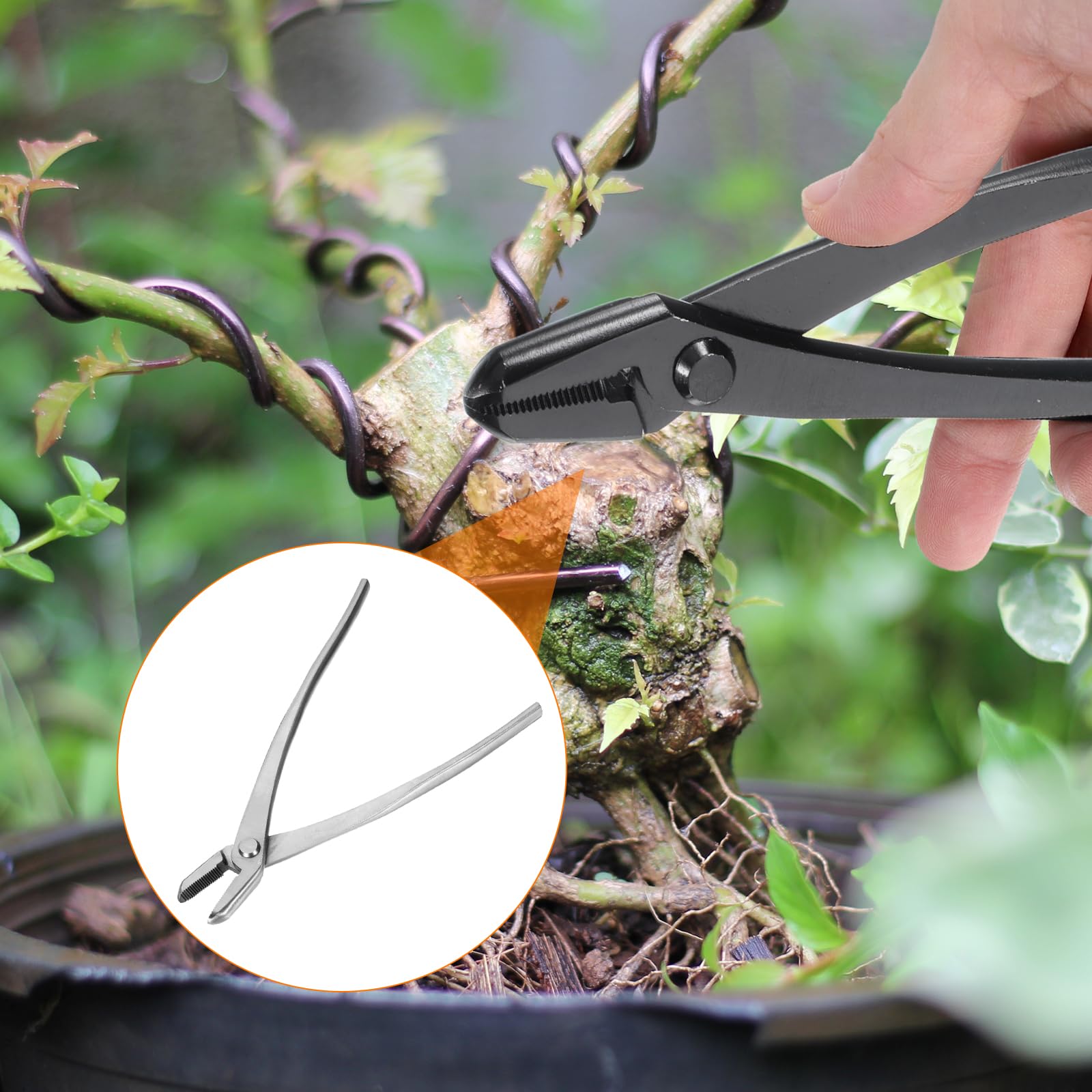 QUARKZMAN Alicates Jin para Bonsái de 8.7 pulgadas 220mm Herramienta de Bonsái Alicates de Alambre Cortador de Ramas Podadora de Jardinería para Cortar Ramas, Plata