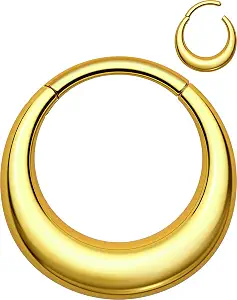 OUFER Titanium Septum Rings, 16G Septum Jewelry, Clicker Septum Nose Piercing Jewelry Hoops, Silver Gold Hinged Segment Daith Piercing Jewelry for Women Men - 8mm/10mm