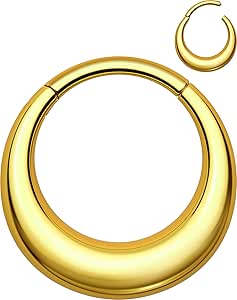 OUFER Titanium Septum Rings, 16G Septum Jewelry, Clicker Septum Nose Piercing Jewelry Hoops, Silver Gold Hinged Segment Daith Piercing Jewelry for Women Men-8mm/10mm