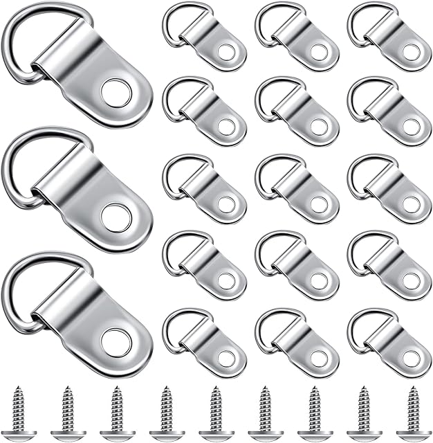 Thinp 20 Sets D Rings for Picture Hanging, Picture Hanging Hooks Metal D Ring Picture Hangers Picture Hanging Kit Canvas Hook with Screws for Picture Photo Frame Hanging Home Decoration (Silver)