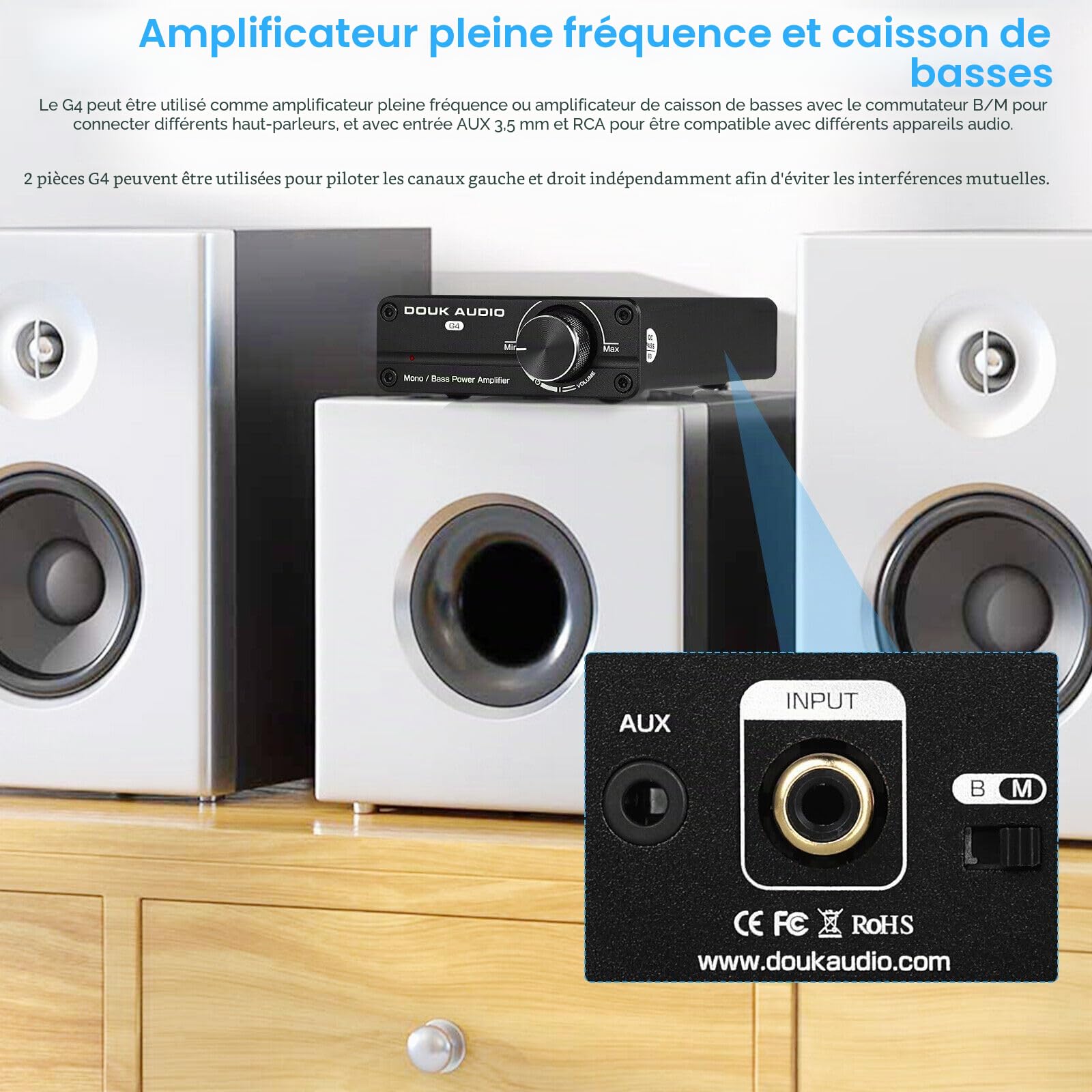 Mini caisson de basse/Full Fréquence mono-canal Amplificateur de puissance Mono Power Amplifier Subwoofer Amplificateur