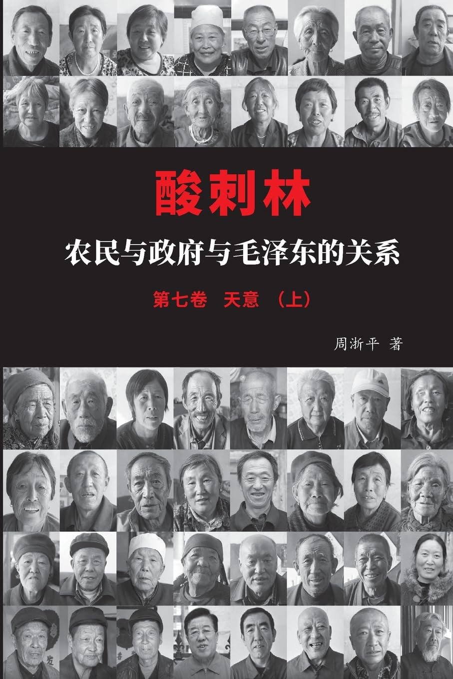 酸刺林:农民与政府与毛泽东的关系(七卷上)