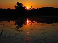 Review Image by John Pell John Pell