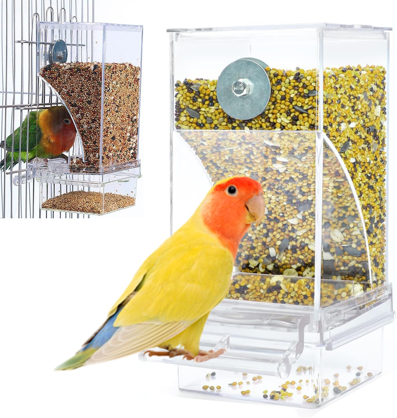 Best Bird Feeder-comedero Para Pájaros De 3,4 Oz... – Grandado