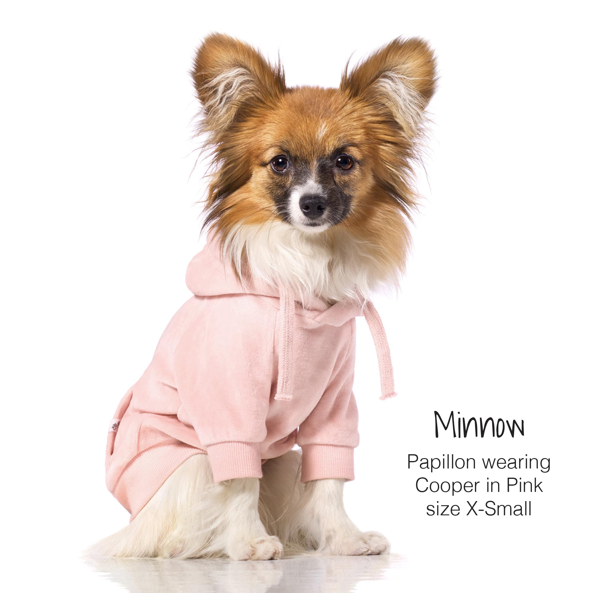 Pet Passion Organic Cotton Velour Dog Hoodie Pet Coat for Small, Medium and Large Dogs, Pink, Medium