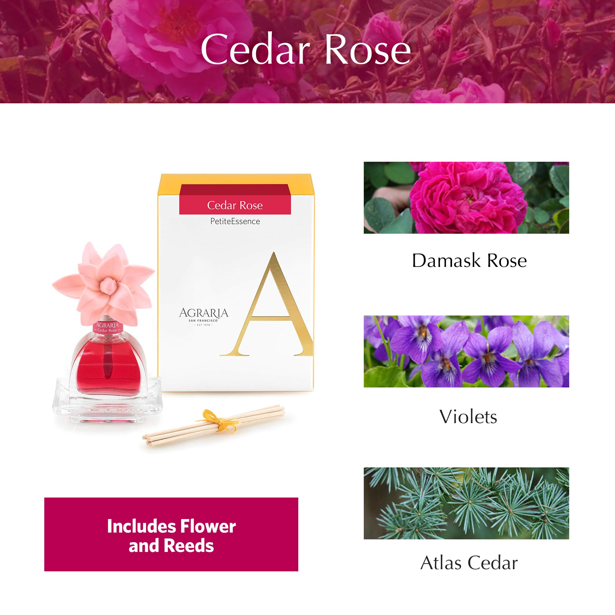 Agraria Cedar Rose Petiteessencetm
