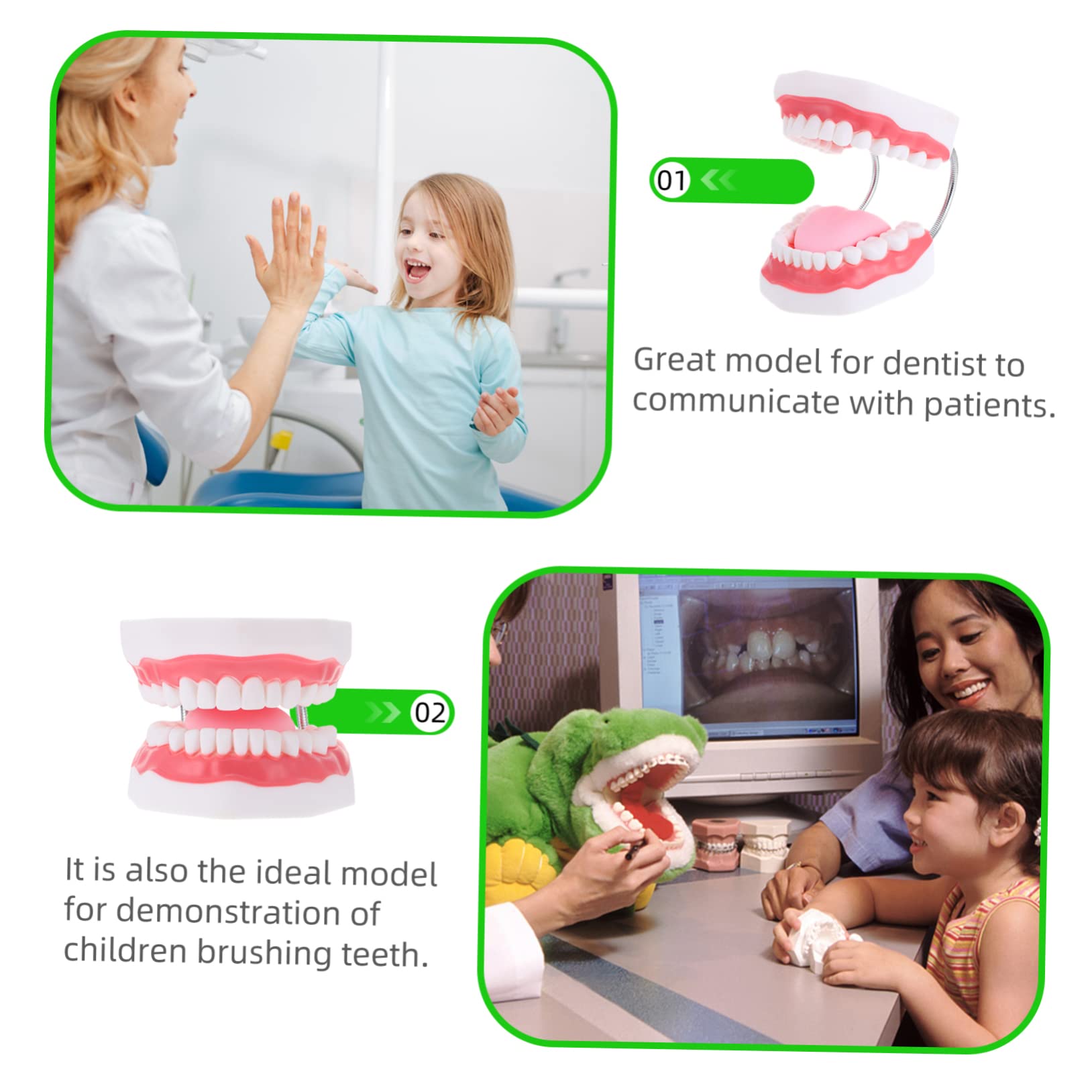 Modello Denti Didattico 6x Bianco Pvc con Spazzolino | Ausilio Educativo per Ragazzo Ragazza, Aspetto Creativo, Interazione Genitore-figlio